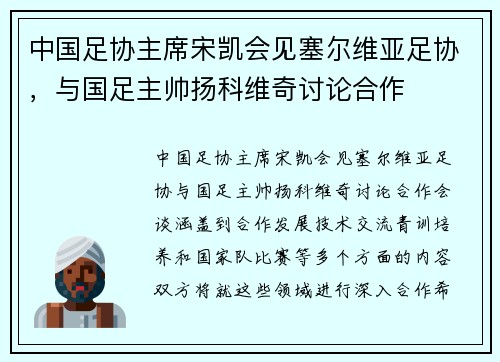 中国足协主席宋凯会见塞尔维亚足协，与国足主帅扬科维奇讨论合作